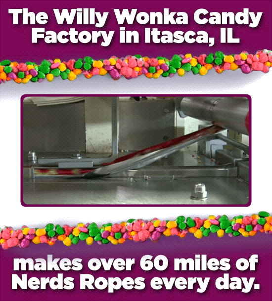 29 Trivia Tidbits About the Candies Everybody Loves