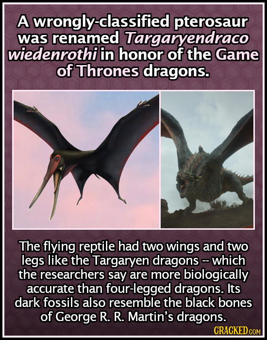 A wrongly-classified pterosaur was renamed Targaryendraco wiedenrothi in honor of the Game of Thrones dragons. The flying reptile had two wings and tw