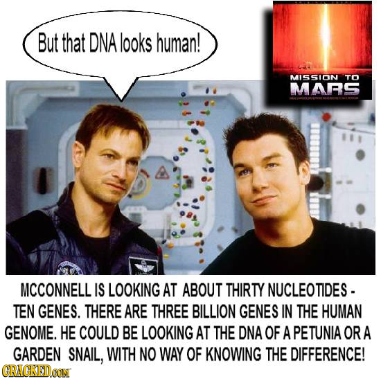 But that DNA looks human! MISSION TO MARS MCCONNELL IS LOOKING AT ABOUT THIRTY NUCLEOTIDES- TEN GENES. THERE ARE THREE BILLION GENES IN THE HUMAN GENO