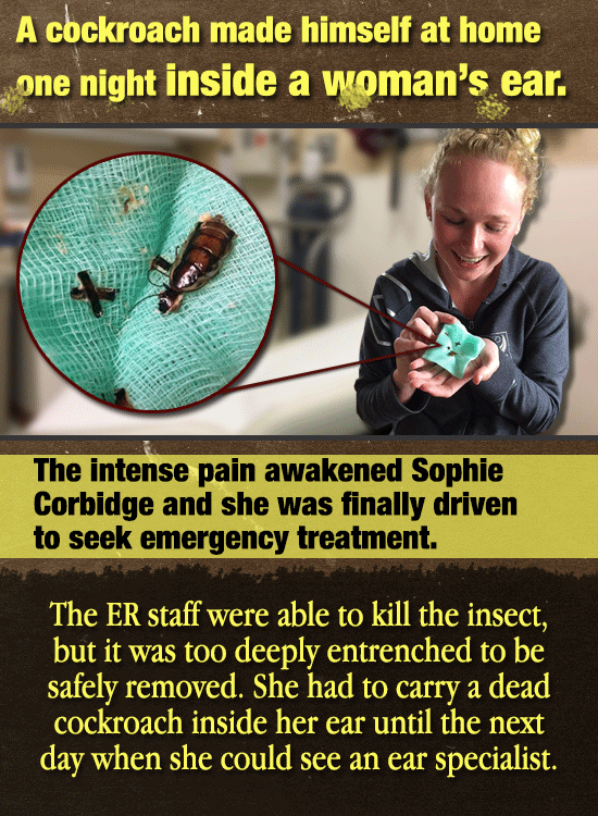 21 Disturbing Facts That Will Keep You Awake At Night