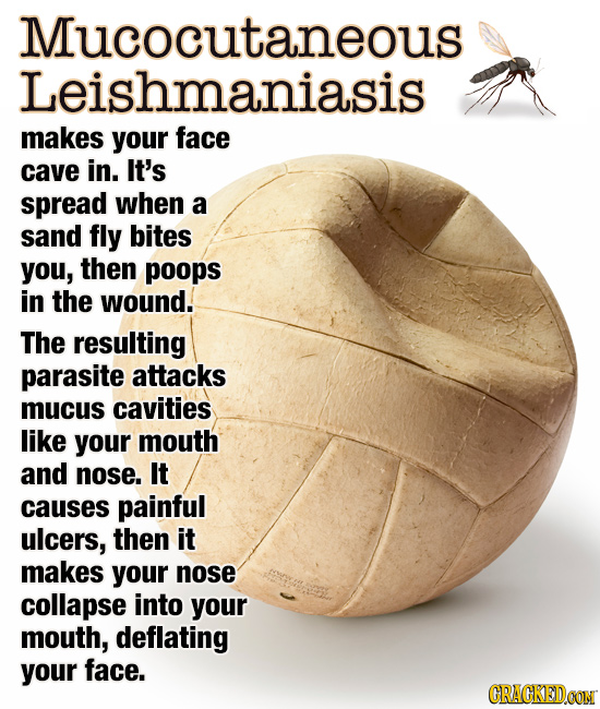 Mucocutaneous Leishmaniasis makes your face cave in. It's spread when a sand fly bites you, then poops in the wound. The resulting parasite attacks mu