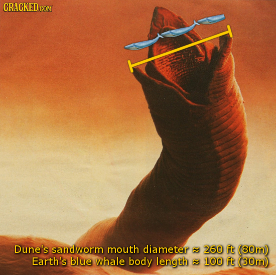 CRACKED COM Dune's sandworm mouth diameter 2 260 ft (80m) Earth's blue whale body length 2 100 ft (30m) 