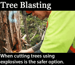 11 Problems Solved By Blowing Things Up