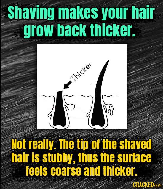 19 Widespread Beliefs (Debunked)