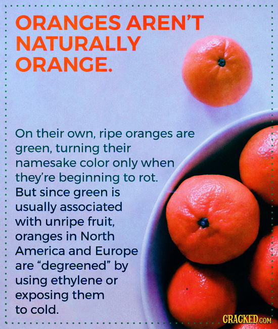 ORANGES AREN'T NATURALLY ORANGE. On their own, ripe oranges are green, turning their namesake color only when they're beginning to rot. But since gree