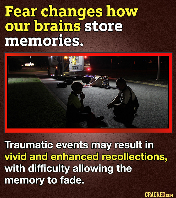 14 Facts About Fear Because 'Tis The Season