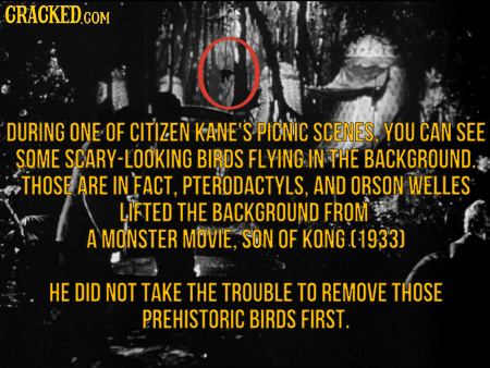 DURING ONE OF CITIZEN KANE'S PICNIC SCENES. YOU CAN SEE SOME SCARY-LOOKING BIRDS FLYING IN THE BACKGROUND. THOSE ARE IN FACT, PTERODACTYLS, AND ORSON