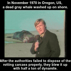 11 Problems Solved By Blowing Things Up