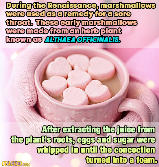 During the Renaissance,l marshmallows were used as a remedy for a sore throat. These early 7marshmallows were madefrom an herb plant known as ALTHAEAO