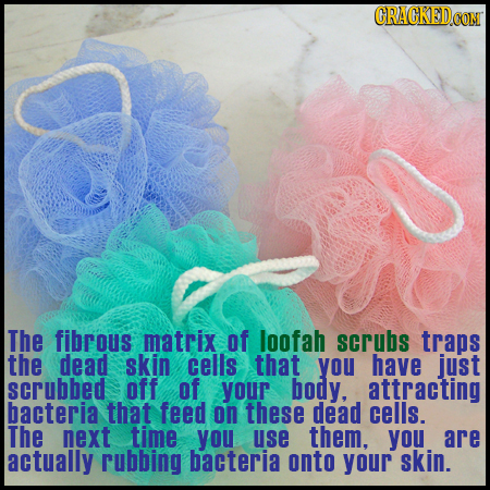 CRACKEDCON The fibrous matrix of loofah scrubs traps the dead skin cells that you have just scrubbed off of your body, attracting bacteria that feed o