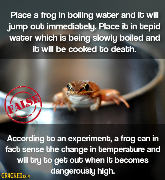 19 Widespread Beliefs (Debunked)