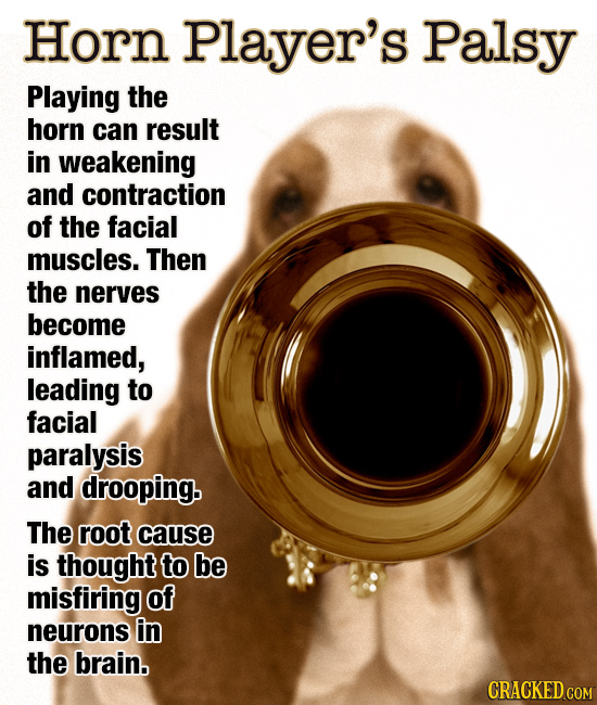 Horn Player's Palsy Playing the horn can result in weakening and contraction of the facial muscles. Then the nerves become inflamed, leading to facial