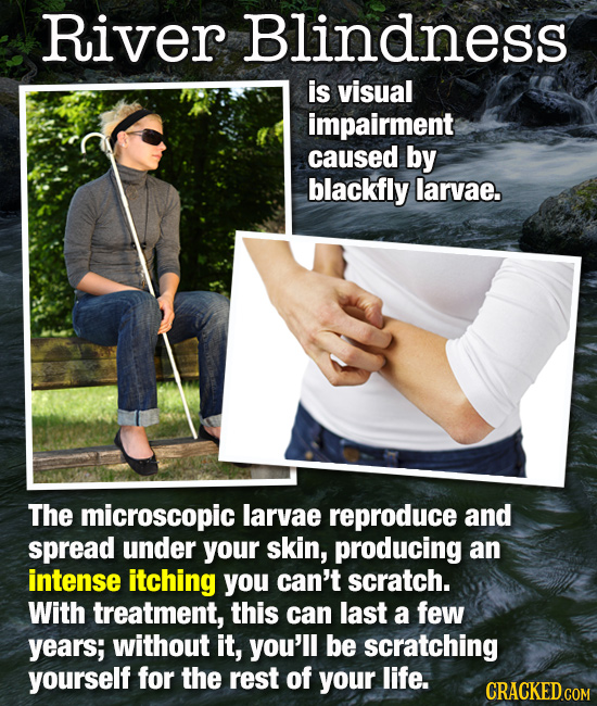 River Blindness is visual impairment caused by blackfly larvae. The microscopic larvae reproduce aND spread under your skin, producing an intense itch