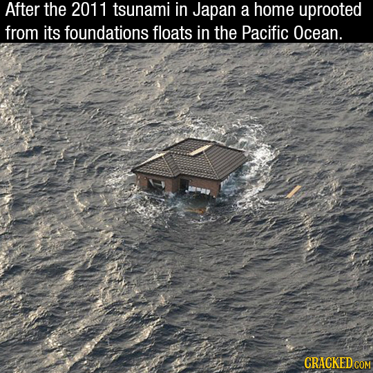 After the 2011 tsunami in Japan a home uprooted from its foundations floats in the Pacific Ocean. CRACKED COM