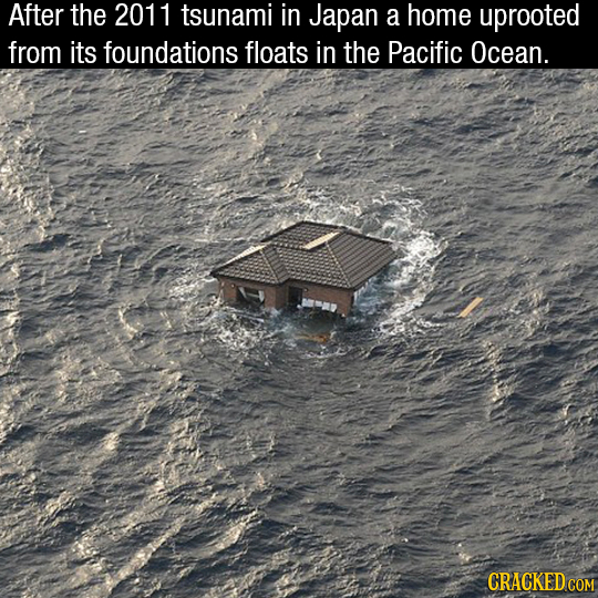 After the 2011 tsunami in Japan a home uprooted from its foundations floats in the Pacific Ocean. CRACKED COM 