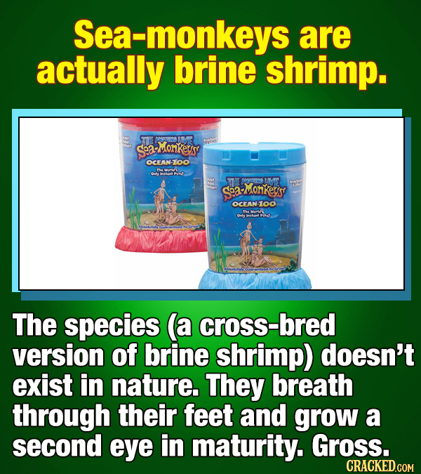 17 (Forgotten) 90's Things