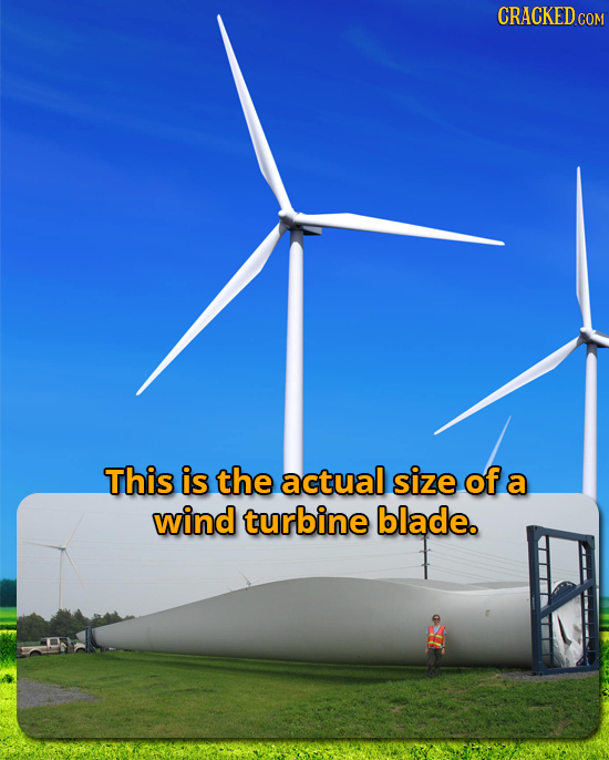 CRACKEDcO COM This is the actual size of a wind turbine blade.