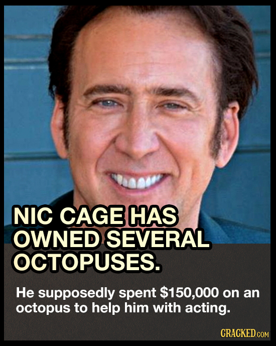 NIC CAGE HAS OWNED SEVERAL OCTOPUSES. He supposedly spent $150,00 on an octopus to help him with acting. CRACKED.COM