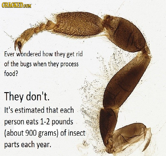 GRACKEDCON Ever wondered how they get rid of the bugs when they process food? They don't. It's estimated that each person eats 1-2 pounds (about 900 g