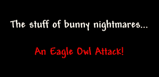 37 Everyday Things That Look Insane in Slow Motion