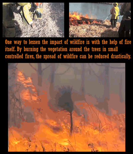 11 Problems Solved By Blowing Things Up