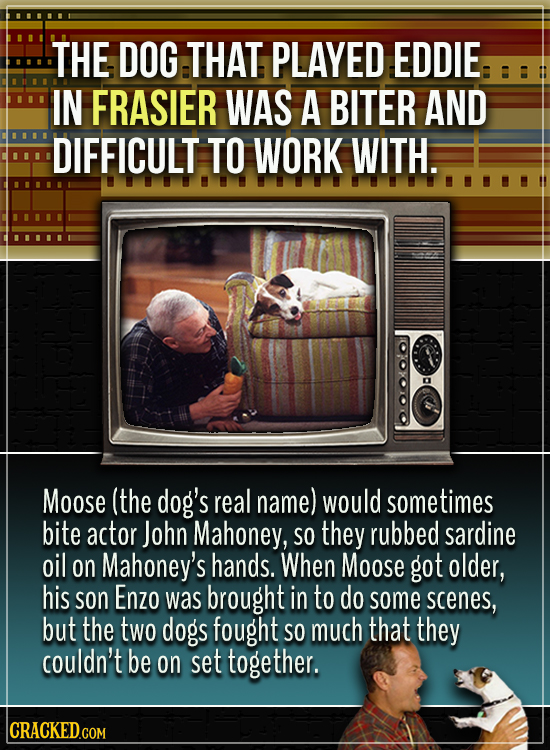 THE DOG THAT PLAYED EDDIE. IN FRASIER WAS A BITER AND DIFFICULT TO WORK WITH. Moose (the dog's real name) would sometimes bite actor John Mahoney, SO