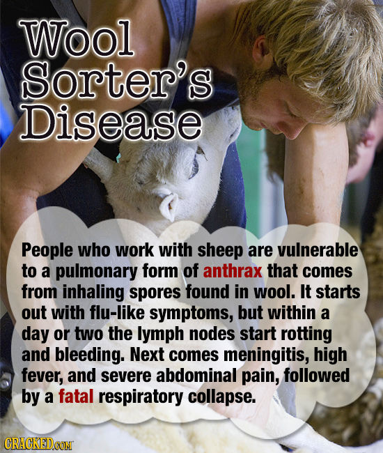 Wool Sorter's Disease People who work with sheep are vulnerable to a pulmonary form of anthrax that comes from inhaling spores found in wool. It start
