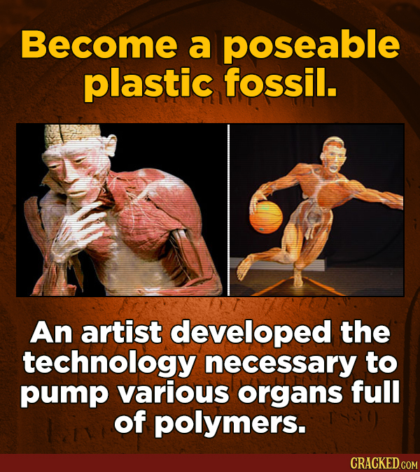 Become a poseable plastic fossil. An artist developed the technology necessary to pump various organs full of polymers.