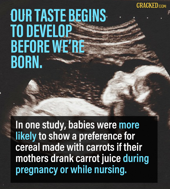 CRACKED.COM OUR TASTE BEGINS TO DEVELOP BEFORE WE'RE BORN. In one study, babies were more likely to show a preference for cereal made with carrots if