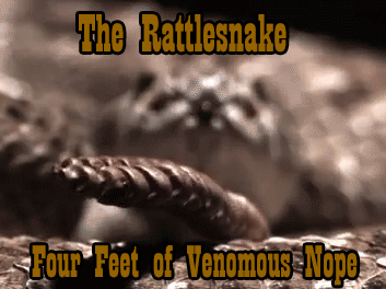 37 Everyday Things That Look Insane in Slow Motion