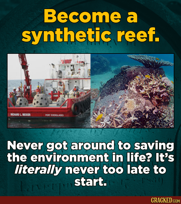 Become a synthetic reef. 240L 25 A 44TY2S Never got around to saving the environment in life? It's literally never too late to start.