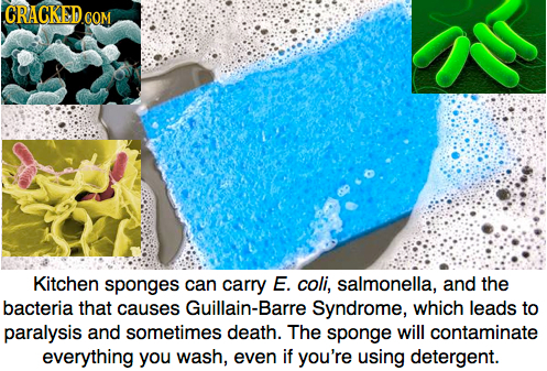CRACKED.COM Kitchen sponges can carry E. coli, salmonella, and the bacteria that causes Guillain-Barre Syndrome, which leads to paralysis and sometime