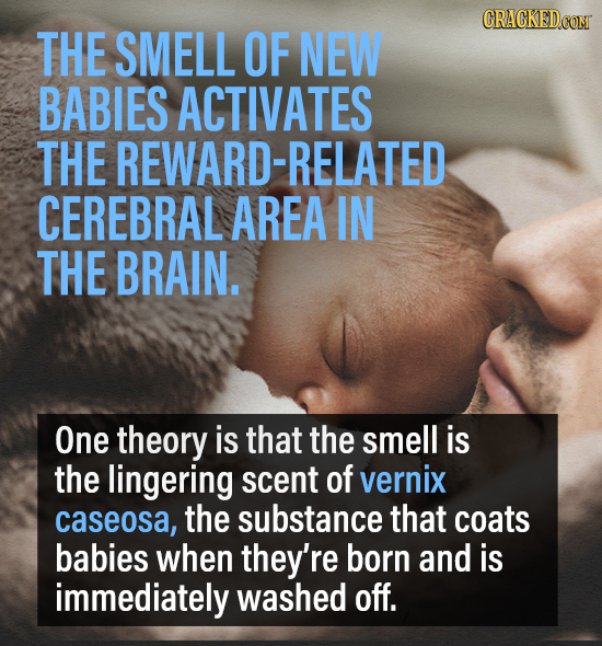 THE SMELL OF NEW BABIES ACTIVATES THE REWARD-RELATED CEREBRAL AREA IN THE BRAIN. One theory is that the smell is the lingering scent of vernix caseosa