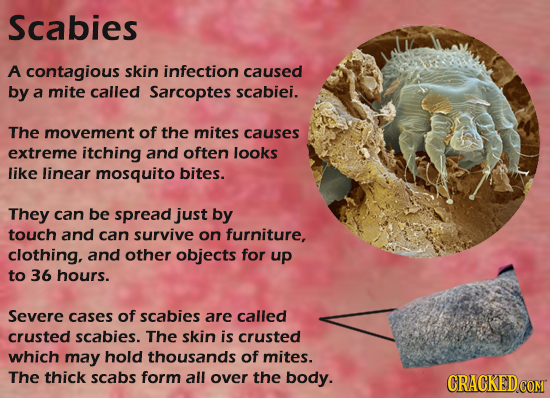 Scabies A contagious skin infection caused by a mite called Sarcoptes scabiei. The movement of the mites causes extreme itching and often looks like l