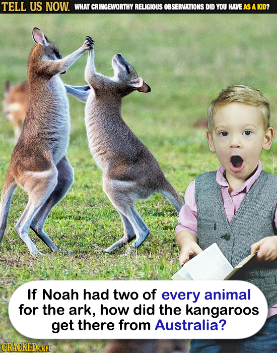 TELL US NOW. WHAT CRINGEWORTHY RELIGIOUS OBSERVATIONS DID YOU HAVEAS A KID? If Noah had two of every animal for the ark, how did the kangaroos get the