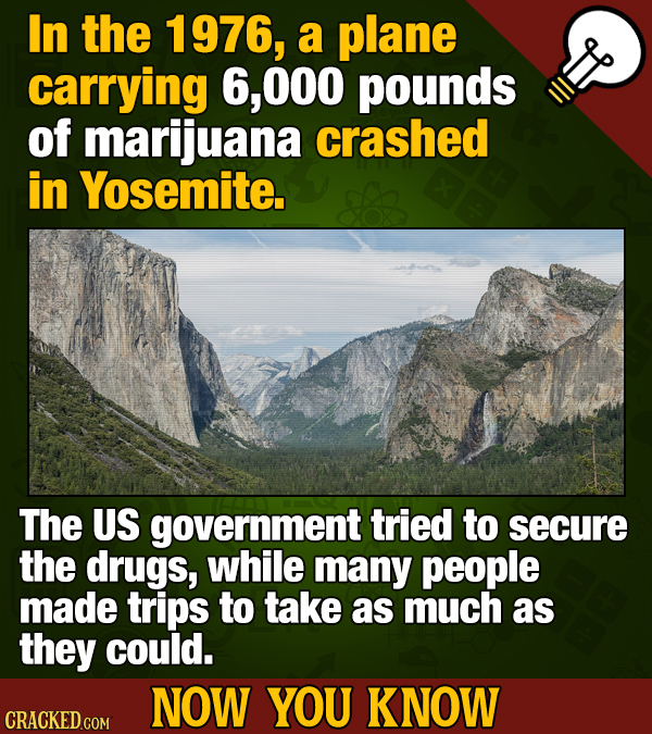 14 Facts About Marijuana To Blaze Upon