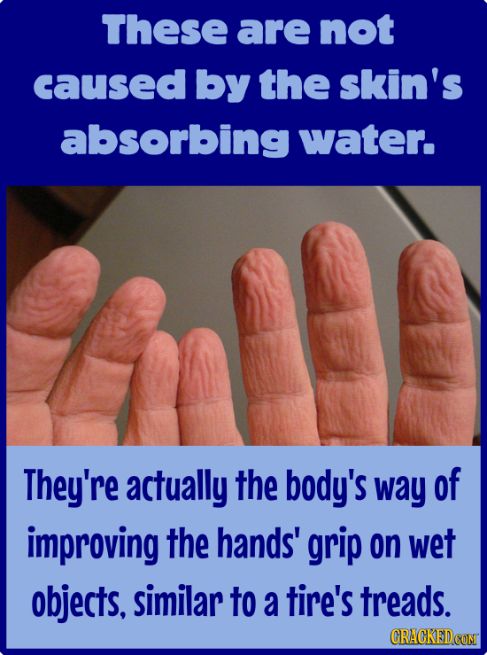 These are not caused by the skin's absorbing water. They're actually the body's way of improving the hands' grip on wet objects, similar to a tire's t
