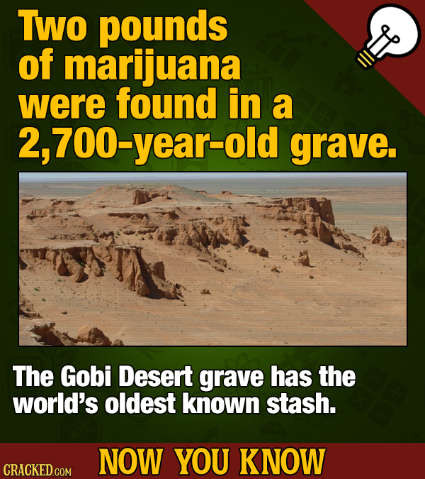 TWO pounds of marijuana were found in a 2,700-year-old grave. The Gobi Desert grave has the world's oldest known stash. NOW YOU KNOW CRACKED GOM