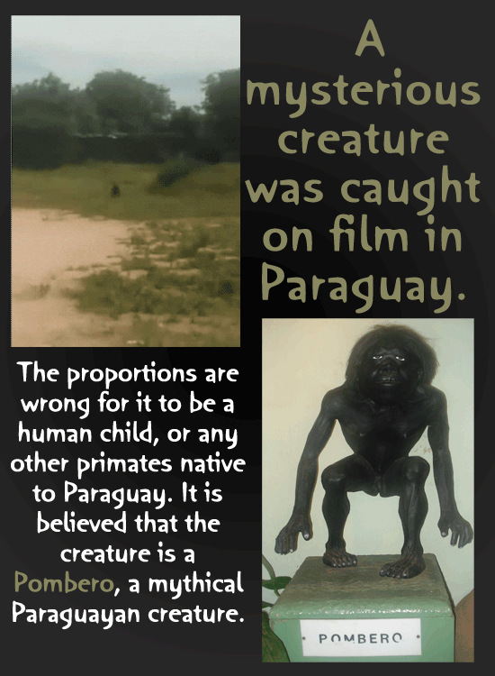 13 Uncomfortably Real-Looking Paranormal Photos And Videos