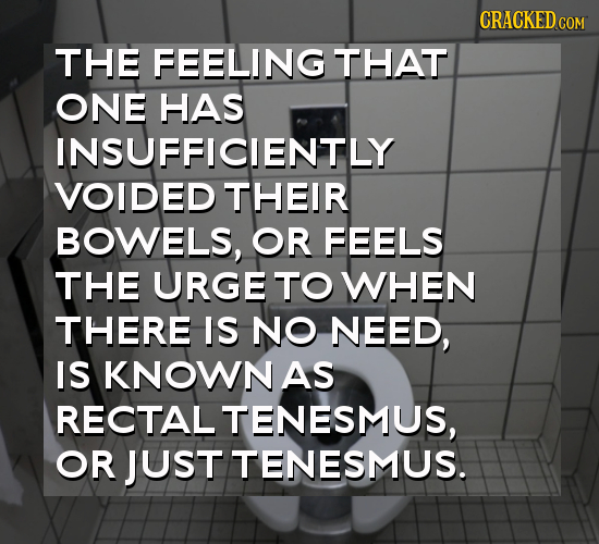 CRACKED cO COM THE FEELING THAT ONE HAS INSUFFICIENTLY VOIDED THEIR BOWELS, OR FEELS THE URGE TO WHEN THERE IS NO NEED, IS KNOWNAS RECTALTENESMUS, OR