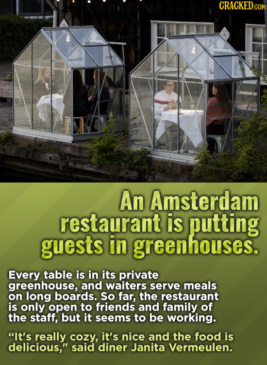 CRacKED.com An Amsterdam restaurant is putting guests in greenhouses. Every table is in its private greenhouse, and waiters serve meals on long boards