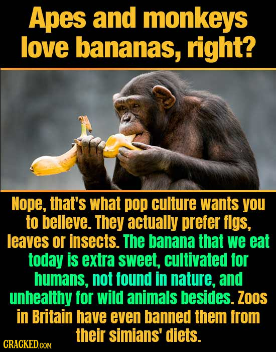 19 Widespread Beliefs (Debunked)