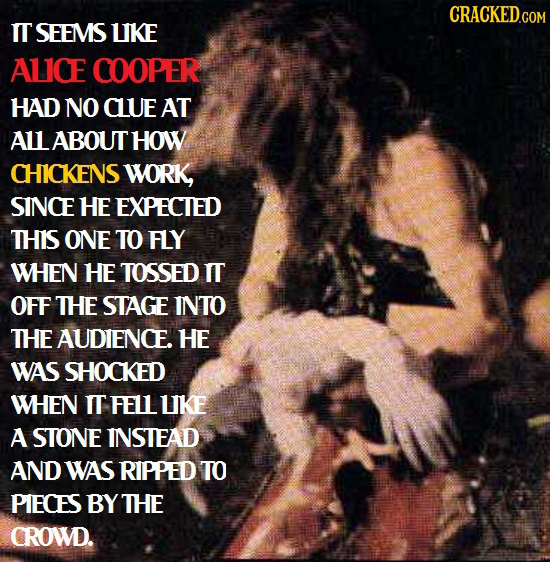 IT SEEMS UIKE ALlCE COOPER HAD NO CUe AT ALL ABOUT HOW CHICkENS WORK SINCE HE EXPECTED THIS ONE TO FLY WHEN HE TOSSED IT OFF THE STAGE INTO THE AUDIEN