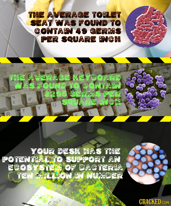 THE AVERAGE TOLET SEAT WAS FOUND TO CONTAB 49 OFRS PER SQUARE ENCH THSE AERAGGE KEYDOMR MAS FOUND TO CONTEIN 3295 GES E % 5 SRUARE ENGS T B YOUR DESK