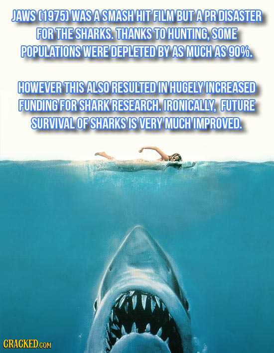 JAWS (1975) WAS A SMASH HIT FILM BUT A PR DISASTER FOR THE SHARKS. THANKS TO HUNTING, SOME POPULATIONS WERE DEPLETED BY AS MUCH AS 90%. HOWEVER THIS A