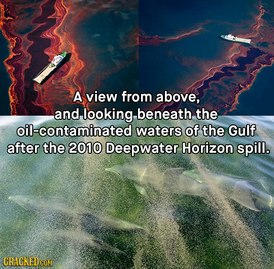 A view from above, and looking beneath, the oil-contaminated waters of the Gulf after the 2010 Deepwater Horizon spill. CRACKEDCON 