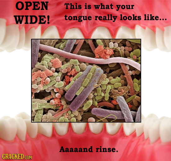 OPEN This is what your WIDE! tongue really looks like... Aaaaand rinse. CRACKED COM
