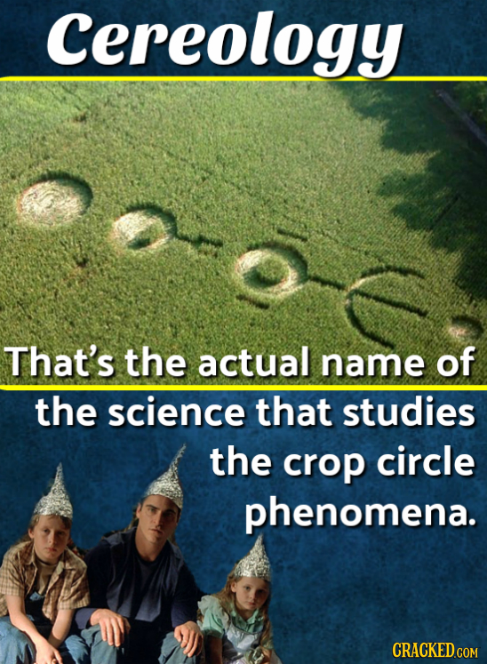 Cereology That's the actual name of the science that studies the crop circle phenomena. CRACKED.COM 