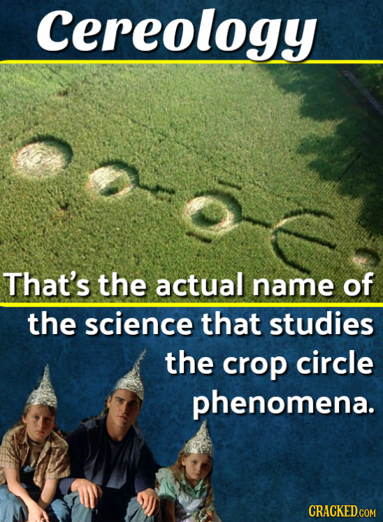 Cereology That's the actual name of the science that studies the crop circle phenomena. CRACKED.COM
