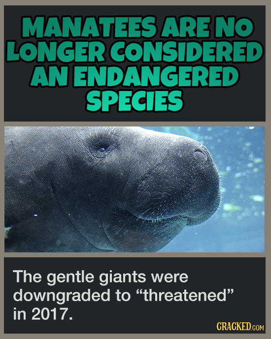 16 Pleasant Facts To Temporarily Distract You From More Terrible News